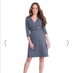 Seraphine Maternity and Nursing Dress